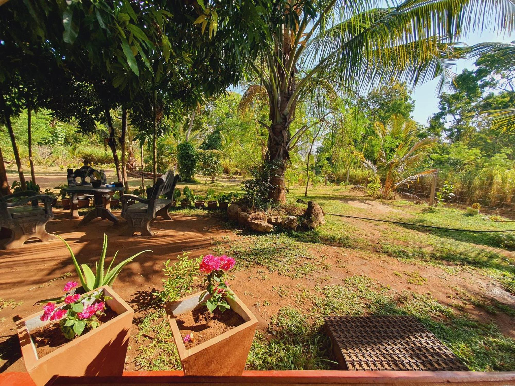 Jungle Eco Lodge & Safari Sigiriya Dış mekan fotoğraf