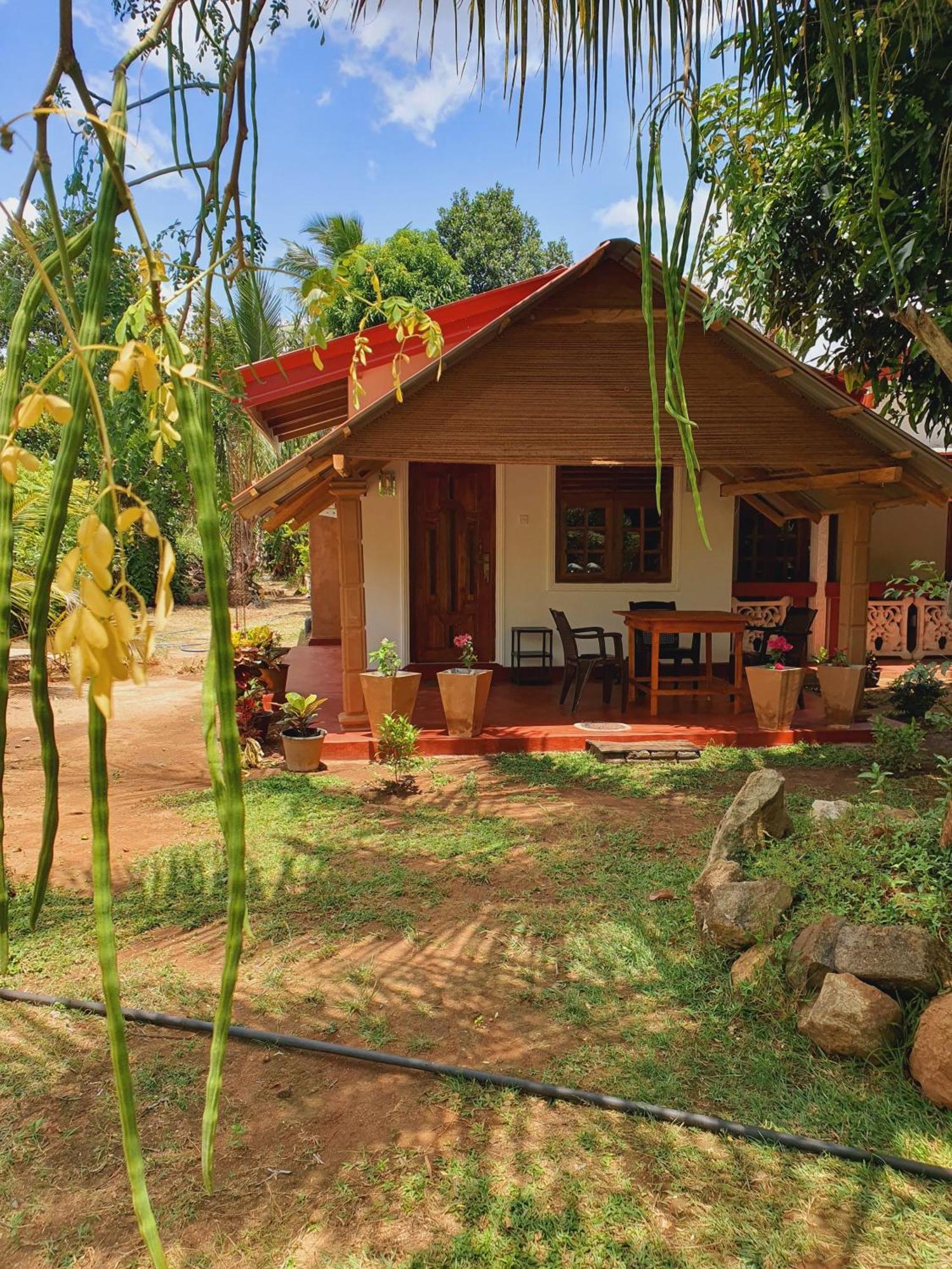 Jungle Eco Lodge & Safari Sigiriya Dış mekan fotoğraf