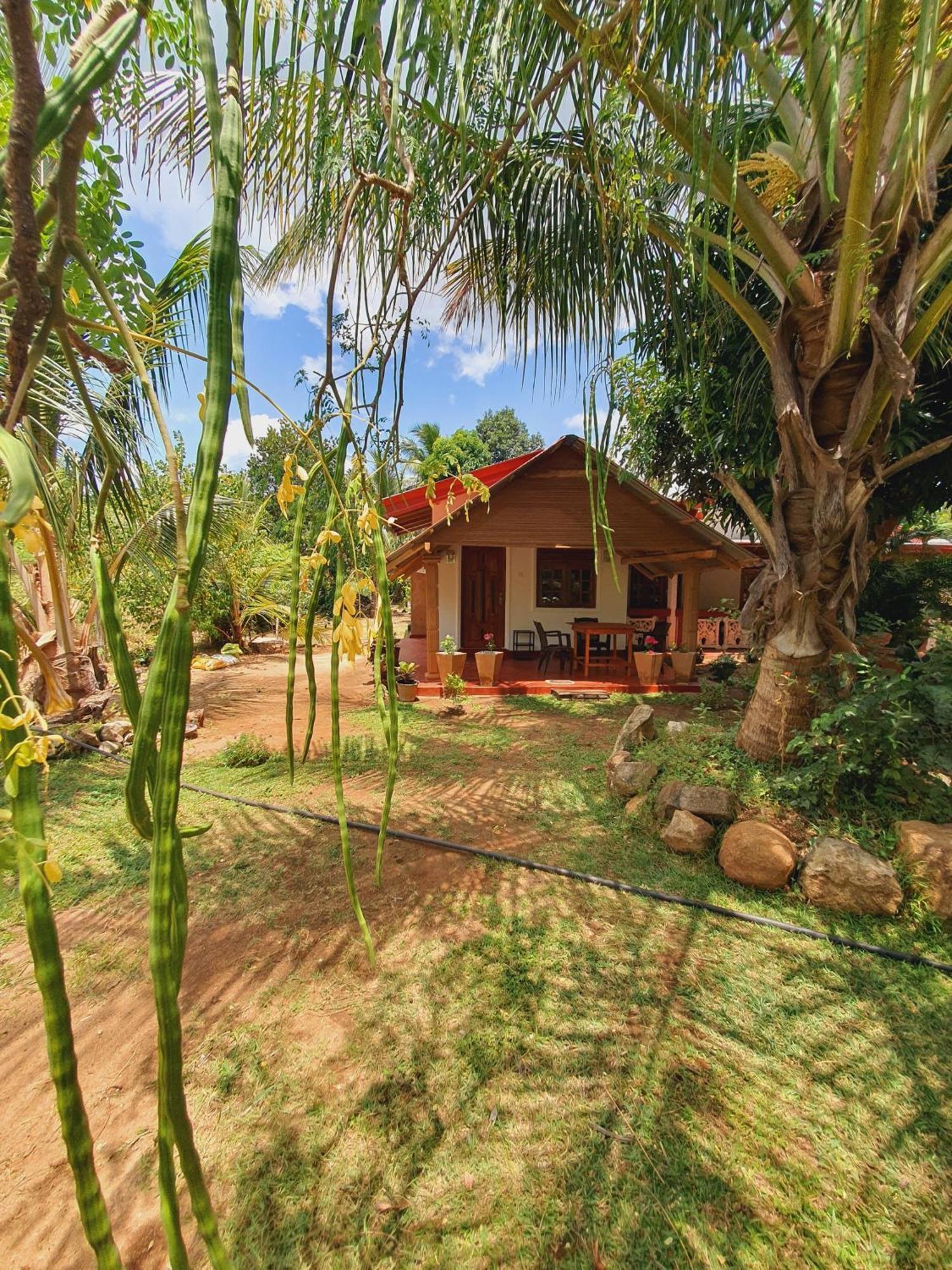 Jungle Eco Lodge & Safari Sigiriya Dış mekan fotoğraf