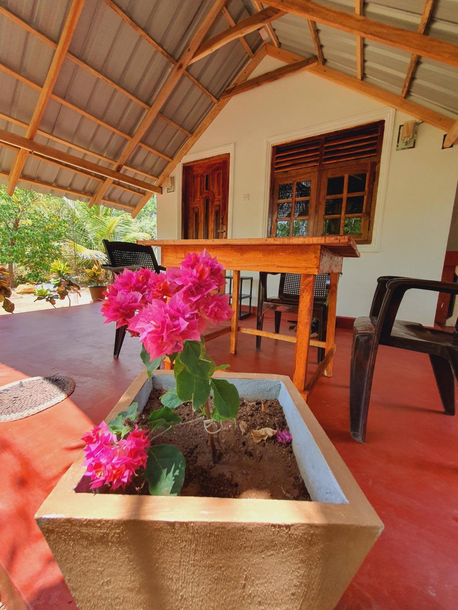 Jungle Eco Lodge & Safari Sigiriya Dış mekan fotoğraf
