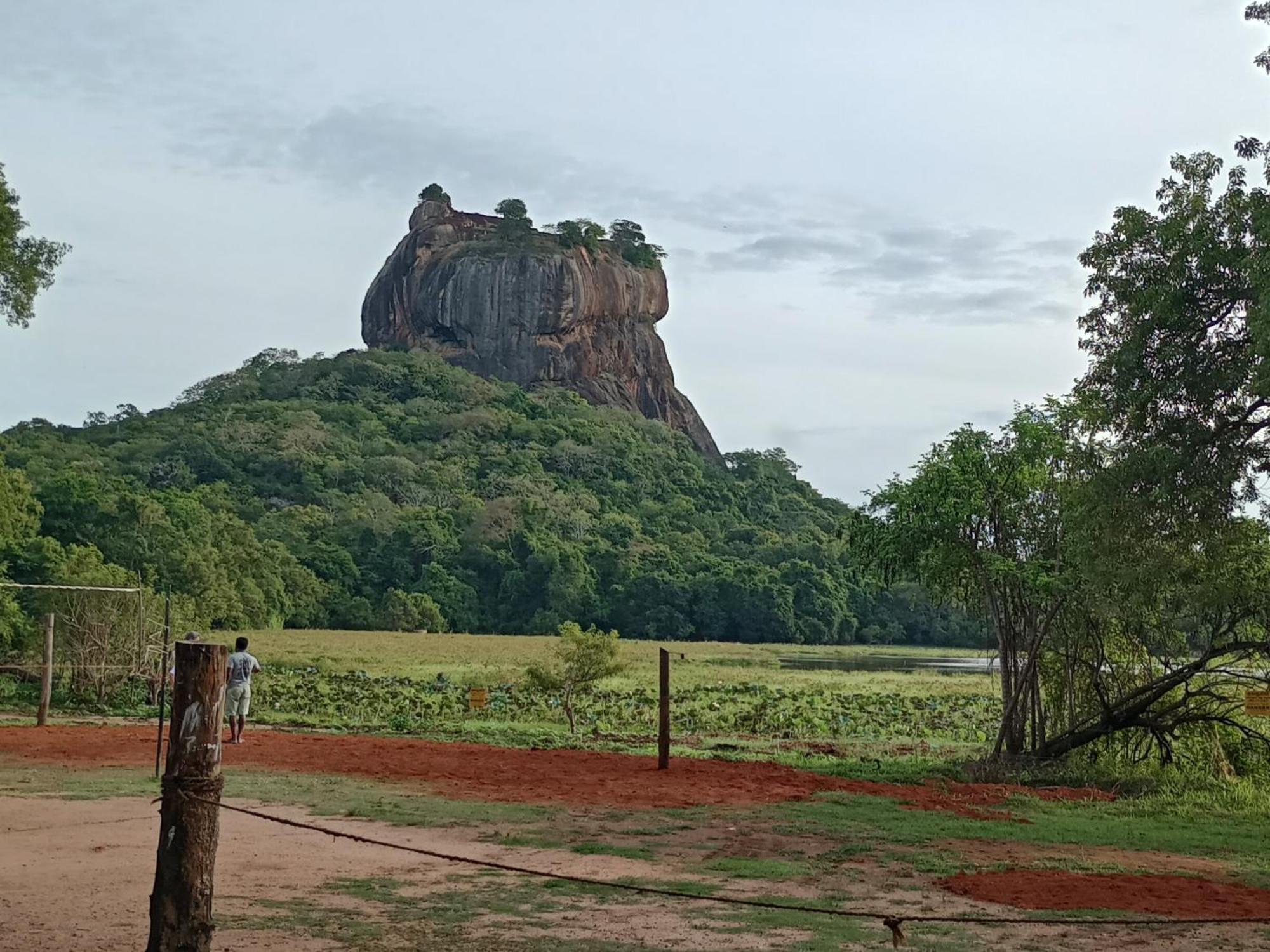 Jungle Eco Lodge & Safari Sigiriya Dış mekan fotoğraf