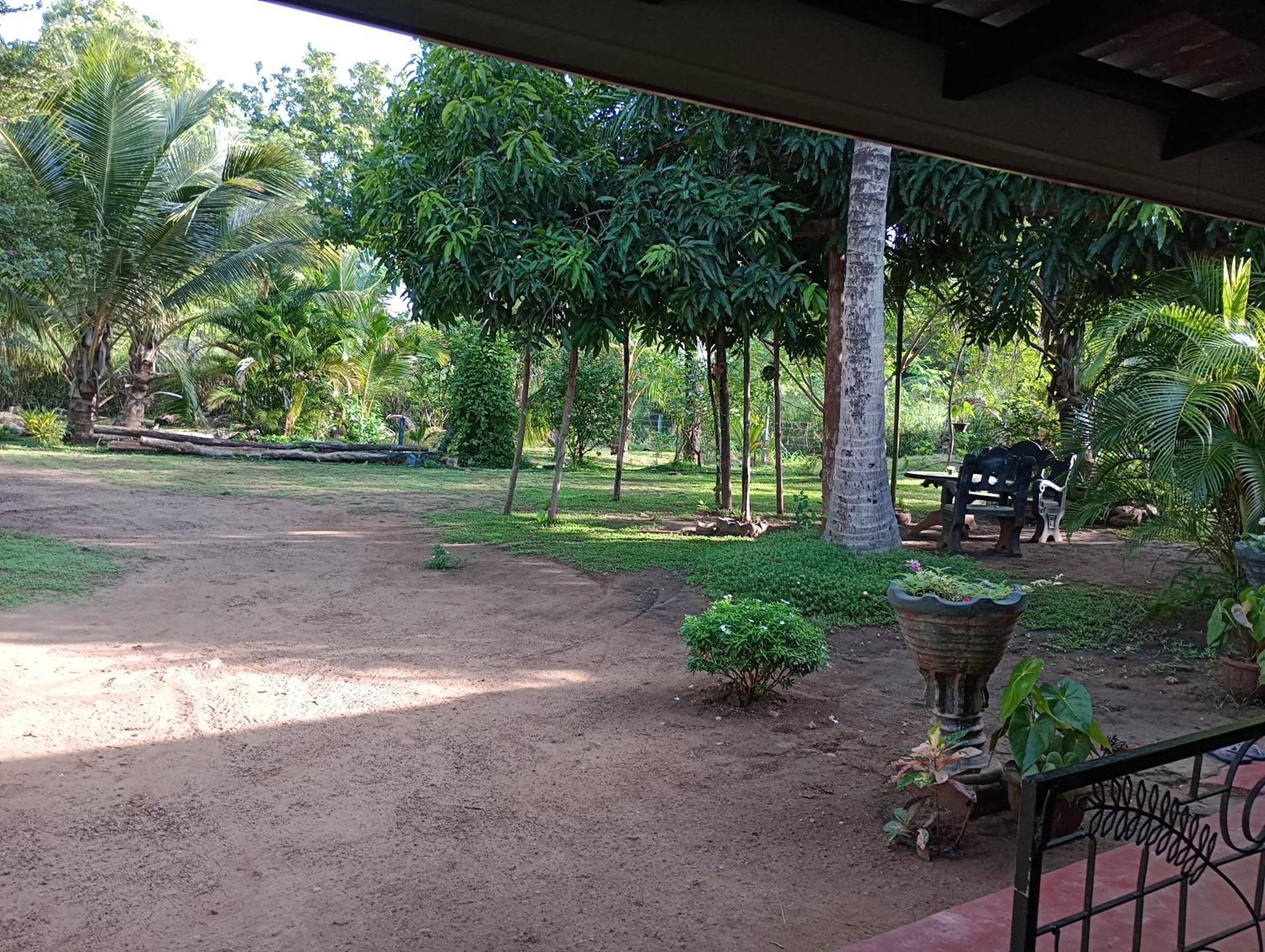 Jungle Eco Lodge & Safari Sigiriya Dış mekan fotoğraf