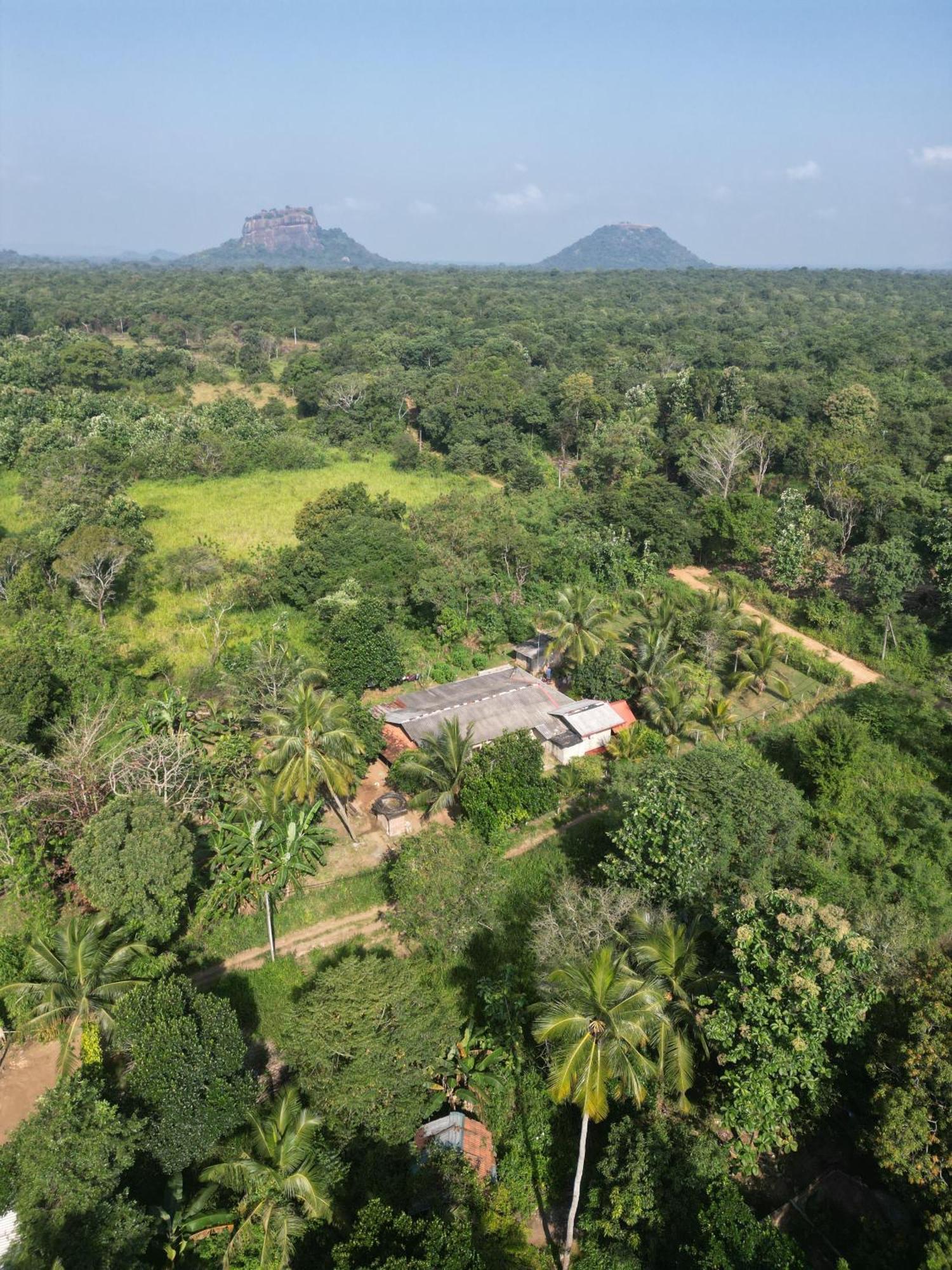 Jungle Eco Lodge & Safari Sigiriya Dış mekan fotoğraf